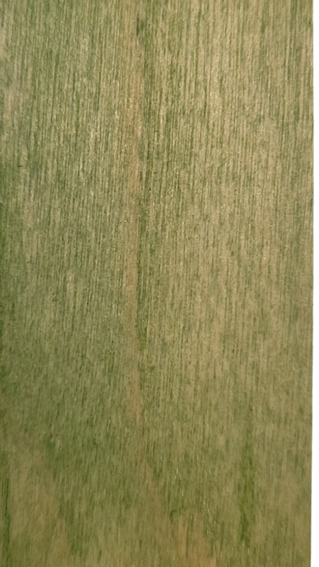 Meyer Brothers Birthday Box